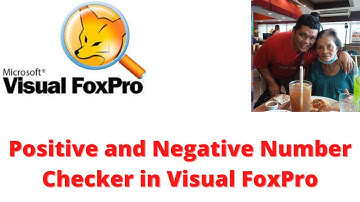 Positive and Negative Number Checker in Visual FoxPro