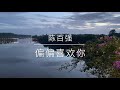 偏偏喜欢你 陈百强 偏偏喜欢你 陈百强