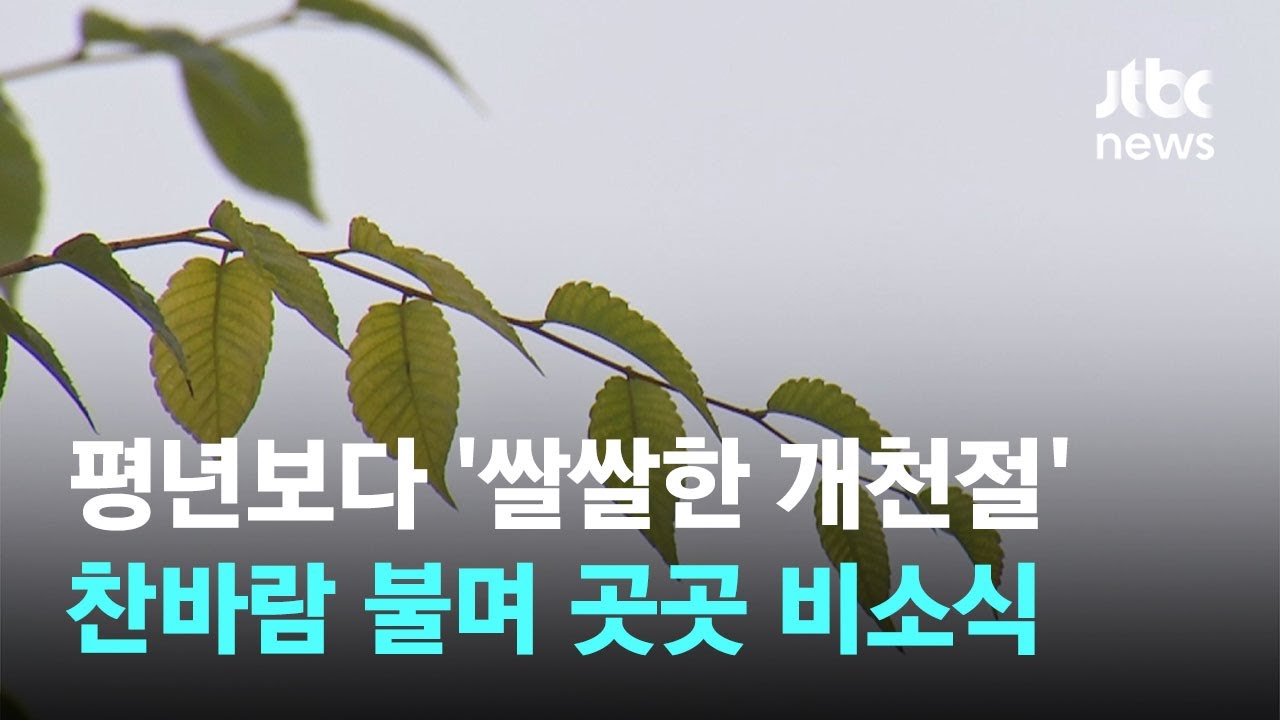 [날씨] '쌀쌀한 개천절' 찬바람 불며 곳곳 비소식 / JTBC News - YouTube
