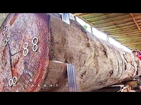 WOW AMAZING, the fastest super extreme cutting of massive and long tense wood !! SAWMILL //