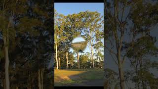 The Wine Cup is Circling instr #shorts #music #oldmusic #publicdomainmusic