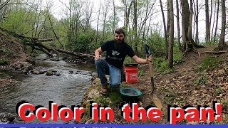 Prospecting The Noisy Creek Part 1