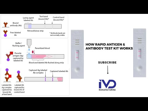 Rapid Diagnostic Tests