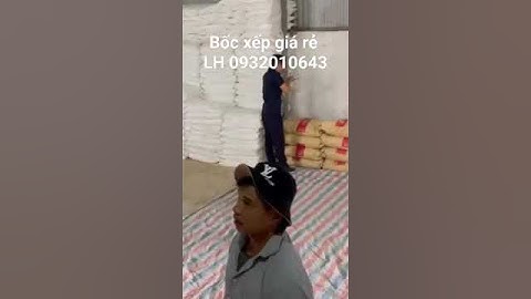 Bốc xếp hàng hóa giá rẻ #chuyenvanphongtrongoi #cungunglaodong #bocvachanghoa #bocxepcontainer
