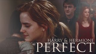 Perfect | Harry & Hermione