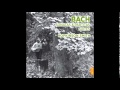 Hopkinson Smith: J. S. Bach, Violin partita nº2 - BWV 1004