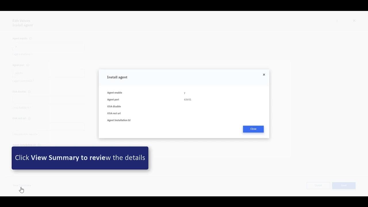 IBM Connect:Direct Web Services Accessing Initialization Parameters For