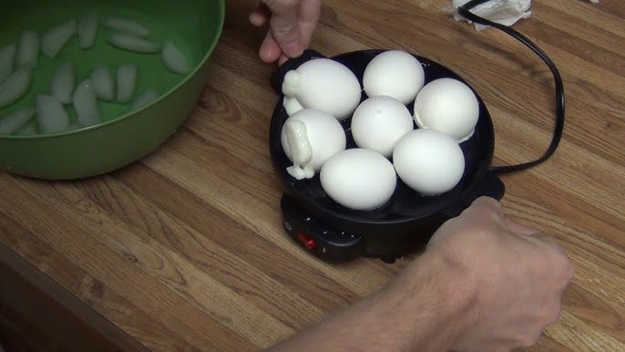 14-Egg Programmable Easy Egg Cooker, Steamer, Poacher (Mint