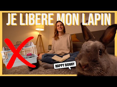 AVOIR UN LAPIN EN APPARTEMENT 🐰 (update)