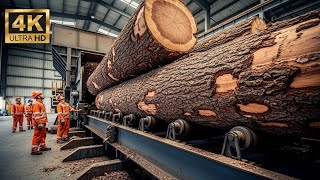Precision Wood Manufacturing: Automated Sawing & Planing Process | ASMR (4K)