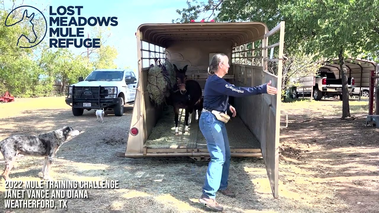 Lost Meadows Mule Refuge 2022 Mule Training Challenge, Janet Vance and Diana