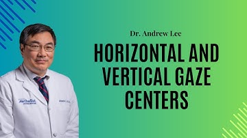 Horizontal and vertical gaze centers