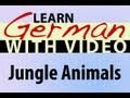 Learn German with Video - Jungle Animals