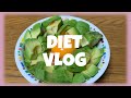 Diet Vlog #15 / DHC プロテインダイエット / 高校生のダイエット /