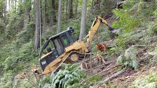 Idaho Logging  Tracked Grapple Skidder  Caterpillar 527