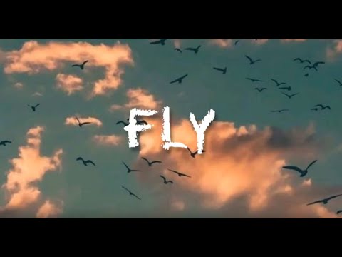 Marshmello - Fly Lyrics