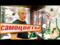 Музей Самоцветы.  Минералы и драгоценные камни СССР.