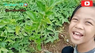 Urban Gardening w/ my little bro Yanyan