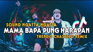 DJ NGATTA NGATTA MAMA BAPA PUNG HARAPAN (BASSGANGGA) THENDO CHASTELO REMIX 2024‼️