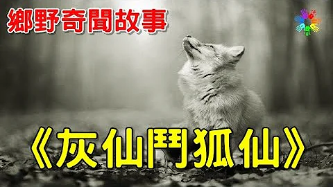《灰仙斗狐仙》- 中国乡野奇闻故事 - 天天要闻