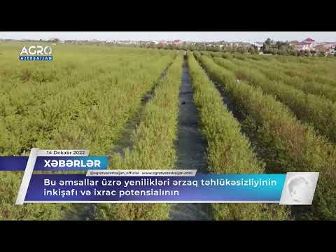 Video: Kredit icarəsi aktı nə vaxt başlayıb?