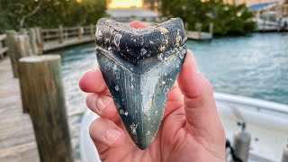 Giant Megalodon Shark Tooth Found in the Ocean! (Scuba Diving)