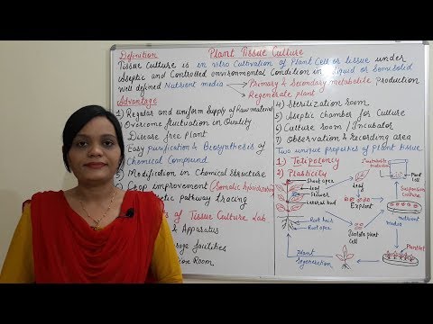 Class (35) = Plant Tissue Culture (Part 01) | Introduction and Advantages  of Plant Tissue Culture - YouTube