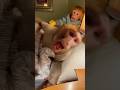 WHY IS HE LIKE THIS 🍋😭#babymonkey #mom #funnyanimals #prank #lemon