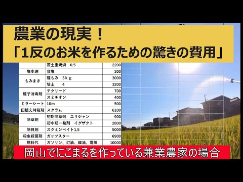 Expenses for 1 tan of rice field] We calculated the income and 