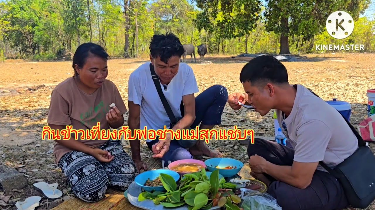 วันนี้บ่าวแก้วมาหาพ่อช่างแม่สุกได้กินข้าวเที่ยงร่วมพากับปี้งปลาแช่บๆ10 มีนาคม ค.ศ. 2026