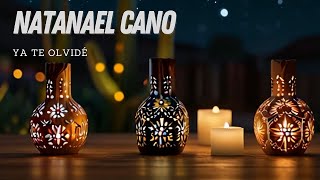 Natanael Cano - Ya Te Olvidé (Official Lyric Video)