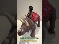 1987  BRIN &amp; TRICERATOPS from DEFINITELY DINOSAURS #DefinitelyDinosaurs  #Dinosaurs  #1980s