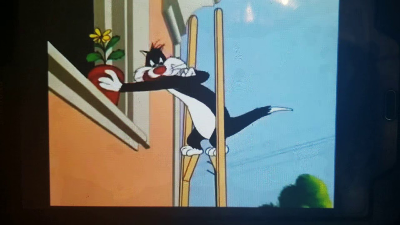 sylvester the cat shuts up the dogs YouTube