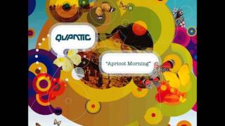 Quantic - Not So Blue (StatiK Remix)