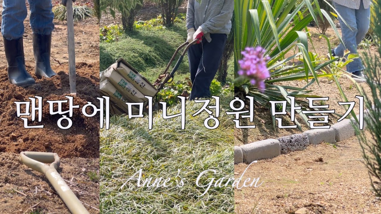 [Garden] 맨땅에 꽃, 나무, 돌이 아름답게 어우러진 미니정원 만들기 🌿 | 여름 가드닝