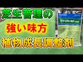 【梅雨／夏の芝生管理の味方】植物成長調整剤