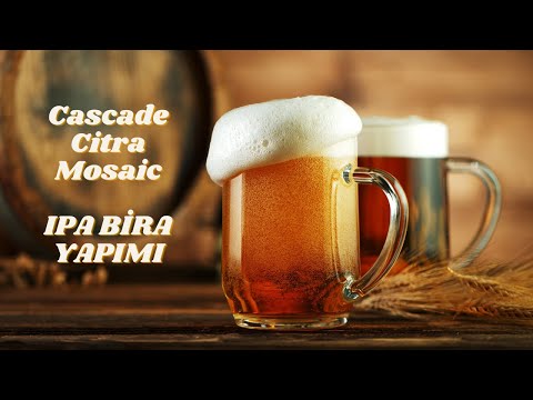 IPA Tam Tahıl Bira Yapımı ( Cascade Citra Mosaic )