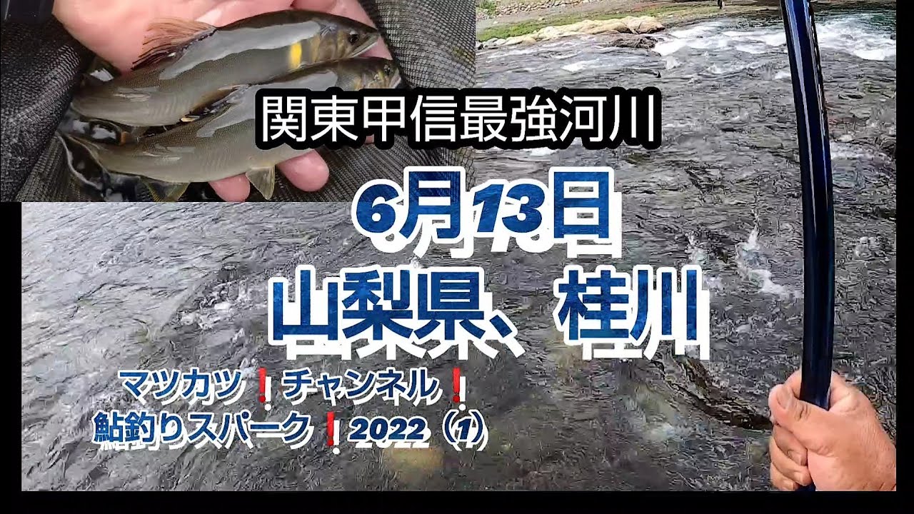 関東甲信地区最強河川 桂川で釣る 鮎釣りスパーク 22 1 Youtube