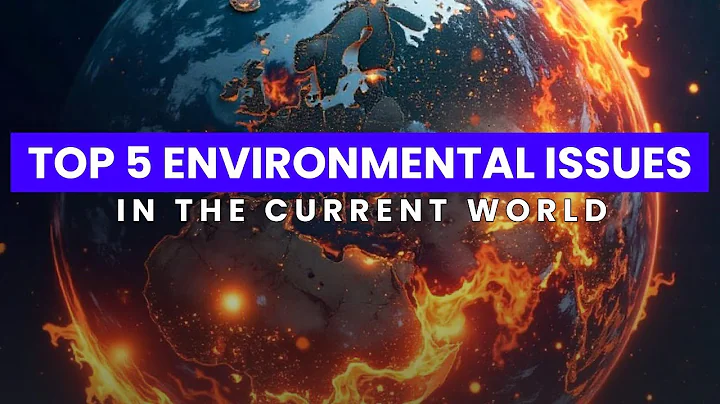 Top 5 Environmental Issues In The Current World