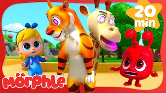 Animal Hypno Mixup! 😵‍💫🦒 | Cartoons for Kids | Mila and Morphle