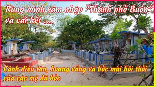 Rợn người khi đi lạc trong nghĩa trang Bình Hưng Hòa, đã bốc gần 1800 mộ, 1.773 mộ chưa có thân nhân