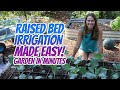 Quick and easy raised bed irrigation system  garden in minutes