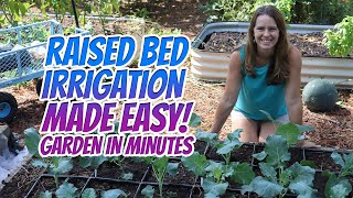 Quick and Easy Raised Bed Irrigation System  Garden In Minutes