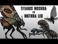 Monsterverse Mothra vs Mothra Leo Comparison Explained
