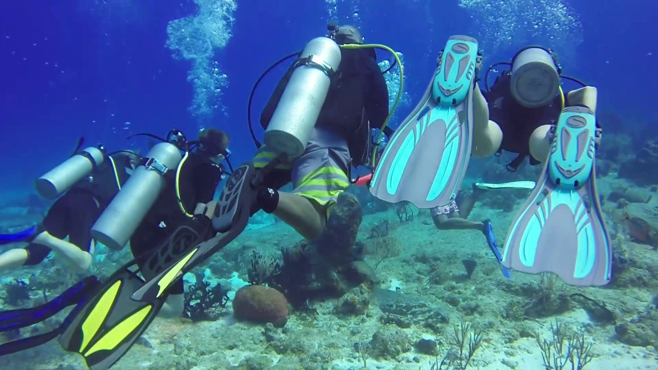 Scuba Diving Cozumel 2 tank dive excursion - YouTube