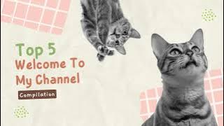INTRO AWALAN OPENING VIDEO YOUTUBE KUCING INTRO AWALAN VIDEO KUCING INTRO OPENING KUCING