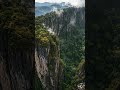 Secret Forest Hidden Inside a Giant Mountain 🌿#shorts #nature #hiddenplace #mountain #forest #usa