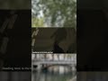 Düsseldorf Vlog | Part 6 #vlog #düsseldorf #food #adventure #travel
