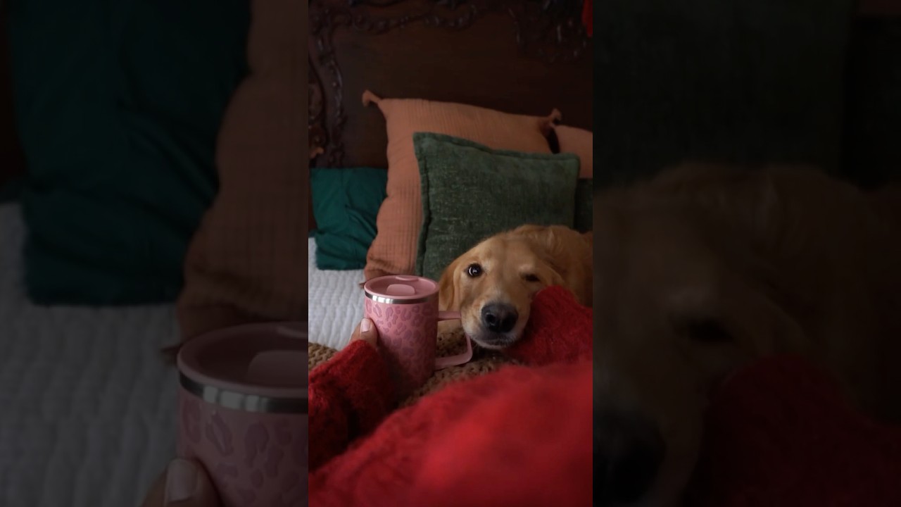 Nothing says winter like a warm cup of Hot Apple Cranberry Punch.