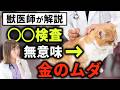 【獣医が警告】猫のアレルギー検査の“落とし穴”を暴露します